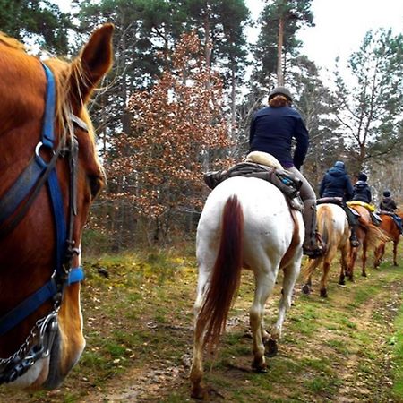 Les Gites Du Val Valprivas Εξωτερικό φωτογραφία